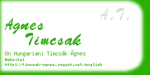 agnes timcsak business card