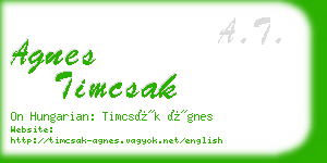 agnes timcsak business card